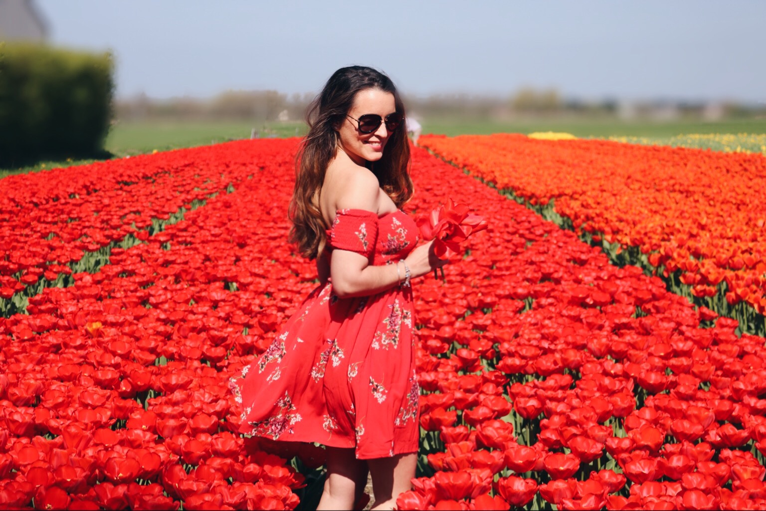 Shopping haul en try on: Mijn ervaring met Showpo
